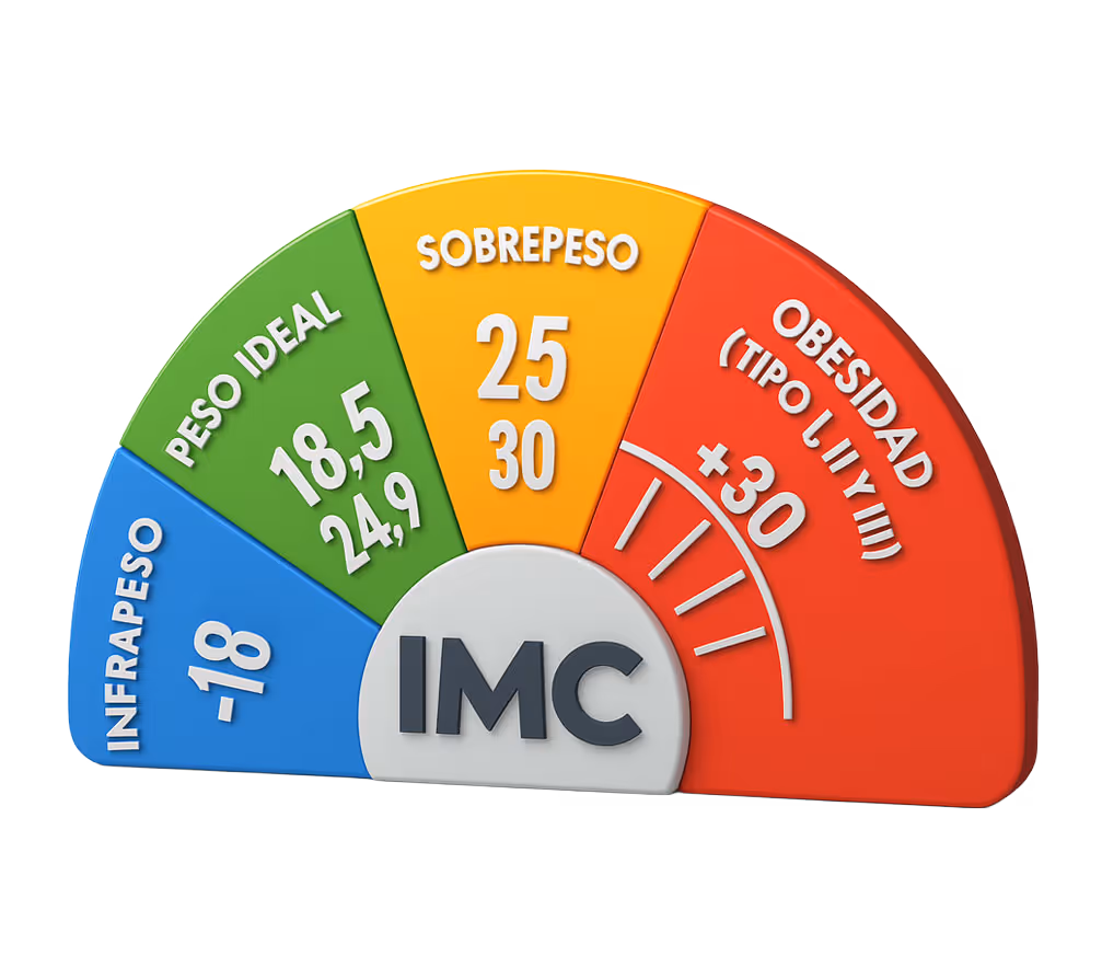 Indicador de IMC con cuatro categorías: infrapeso menor a 18 en azul, peso ideal entre 18.5 y 24.9 en verde, sobrepeso entre 25 y 30 en amarillo, obesidad tipo I, II y III mayor a 30 en rojo.